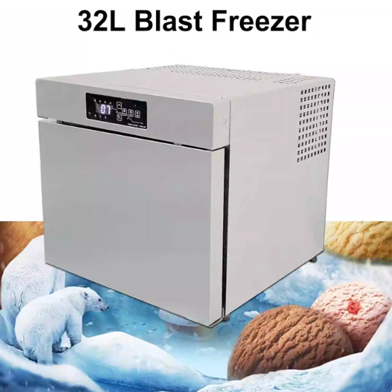 فريزر المأكولات البحرية السريع - مراجعة Commercial Chest Freezer وسعره